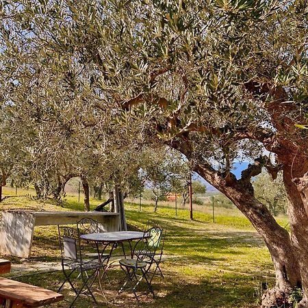 Villa Oasi Macerina Alanno Esterno foto