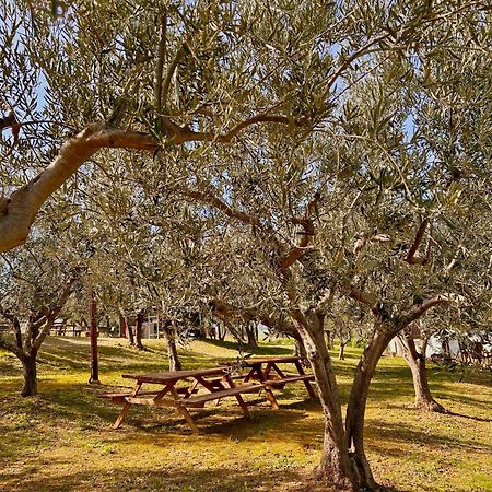 Villa Oasi Macerina Alanno Esterno foto