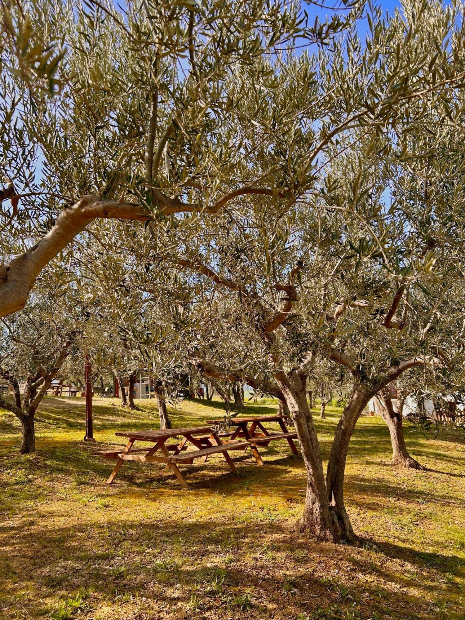 Villa Oasi Macerina Alanno Esterno foto