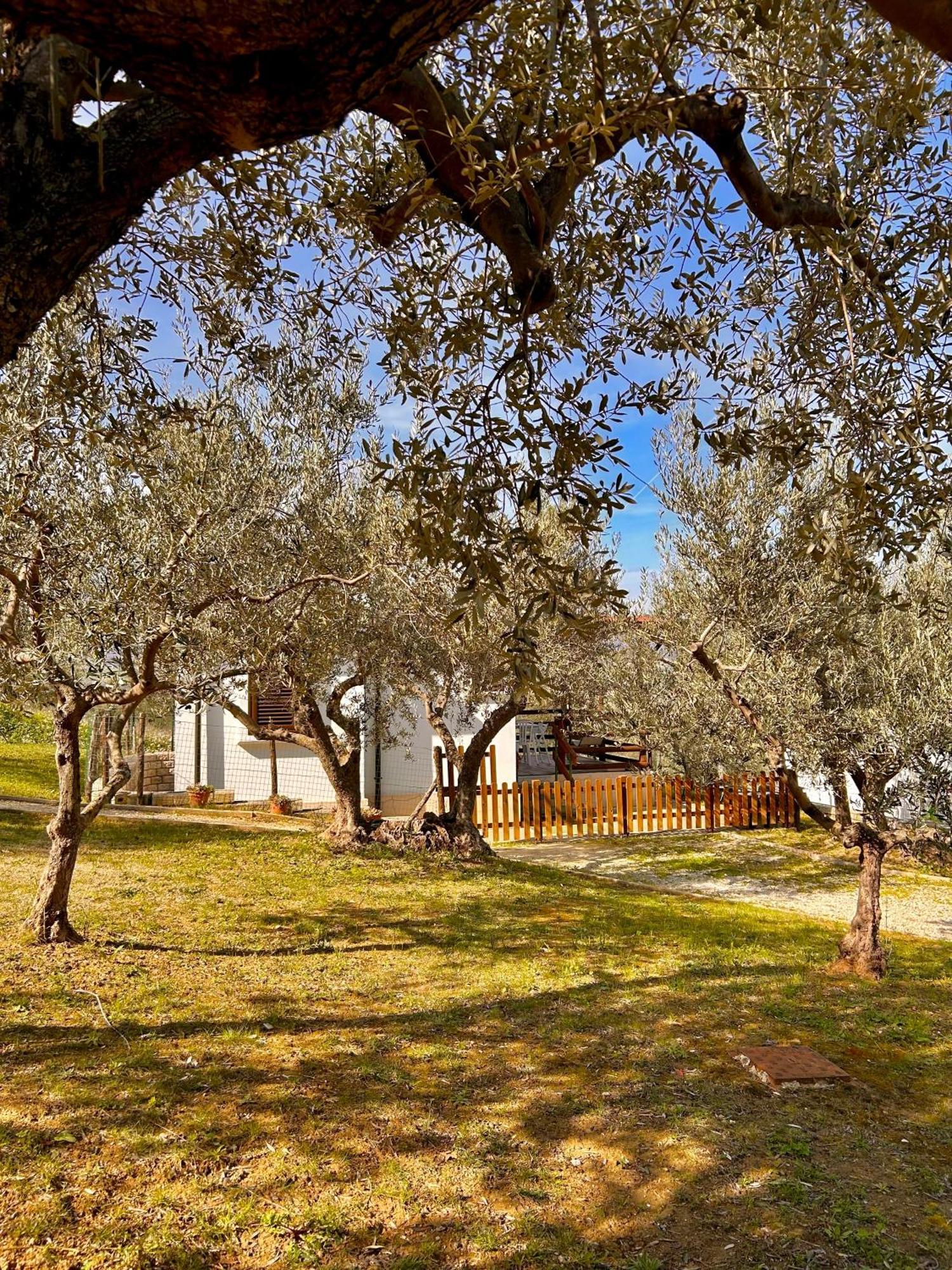 Villa Oasi Macerina Alanno Esterno foto