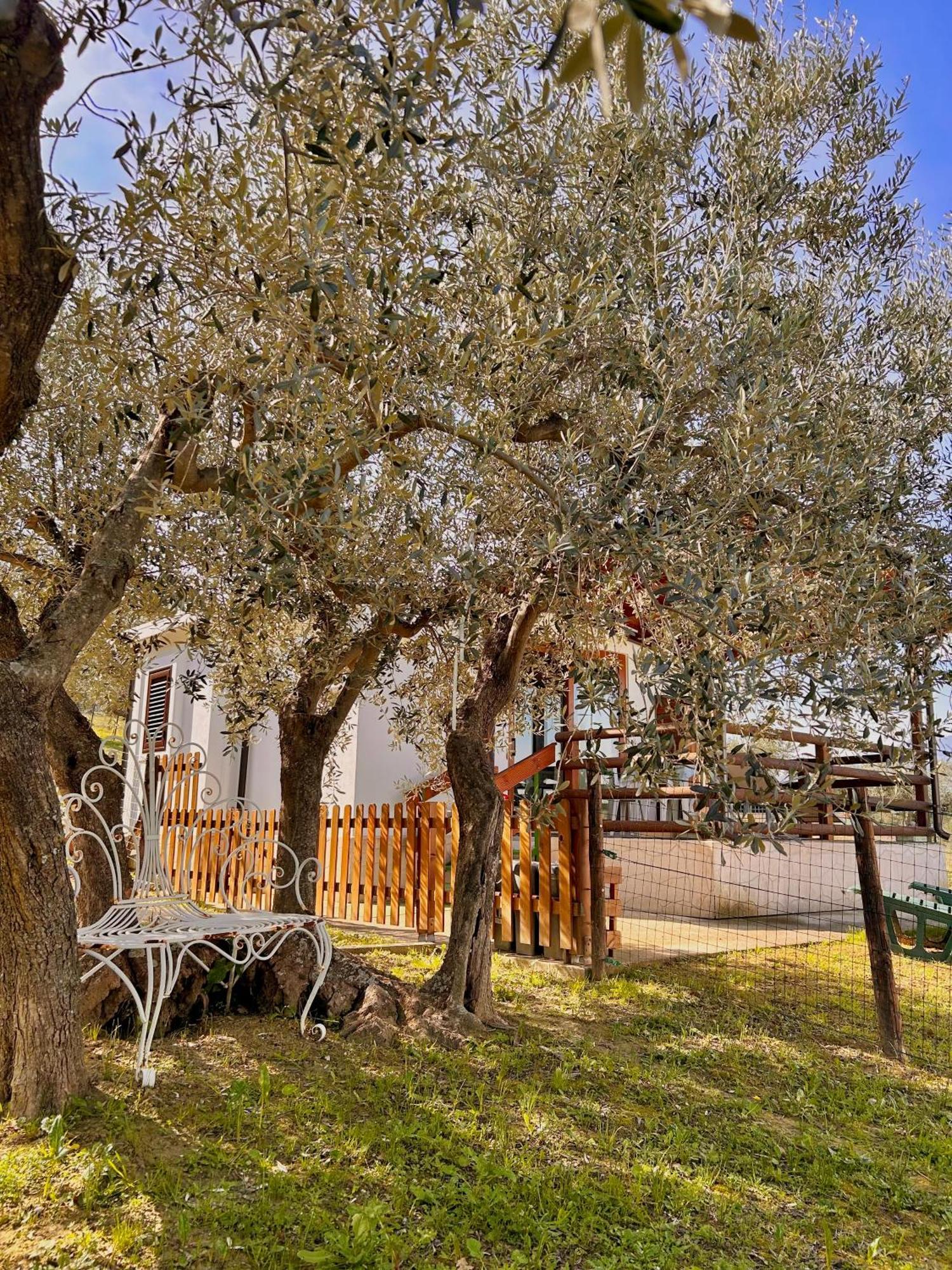 Villa Oasi Macerina Alanno Esterno foto
