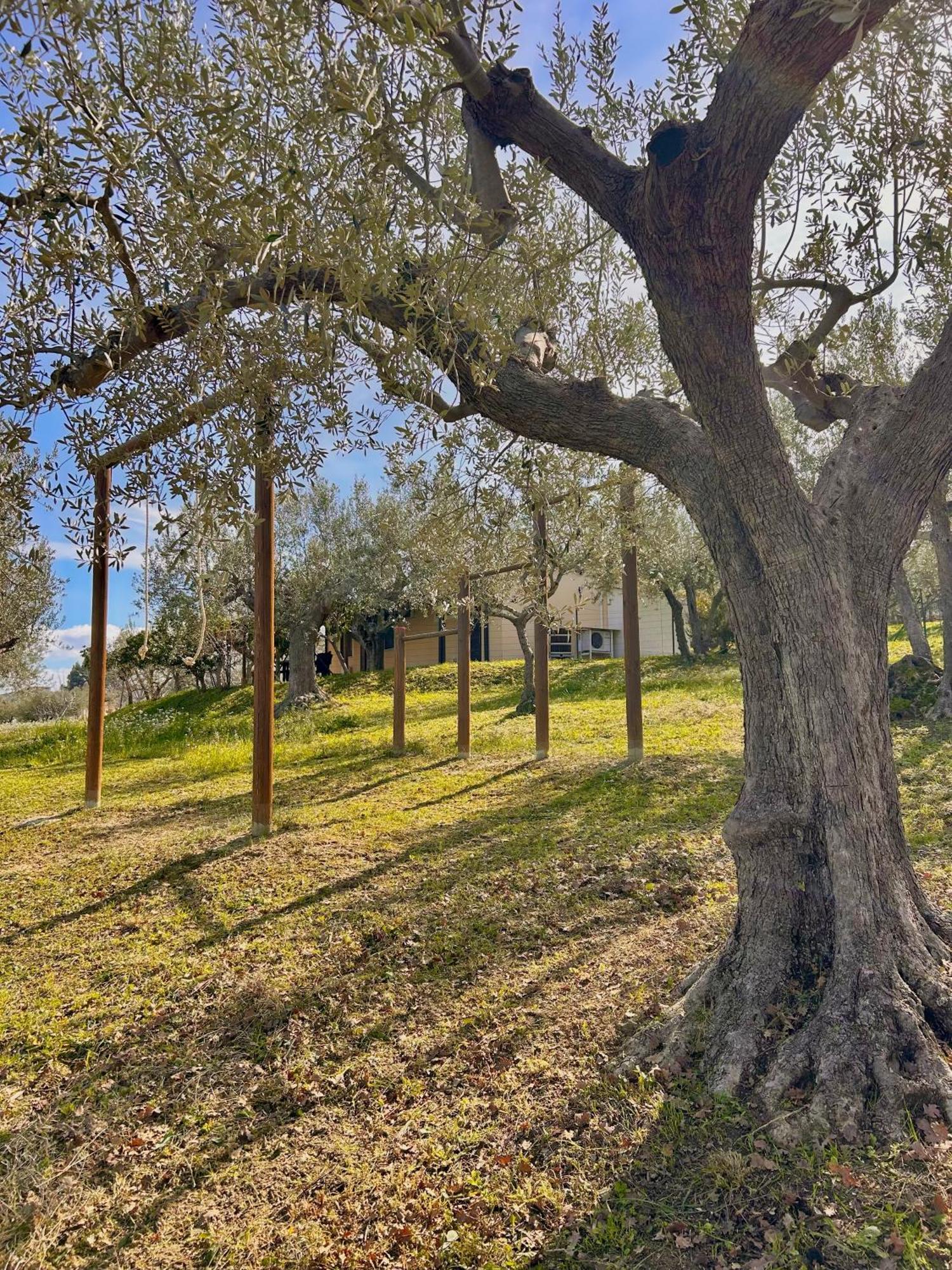 Villa Oasi Macerina Alanno Esterno foto