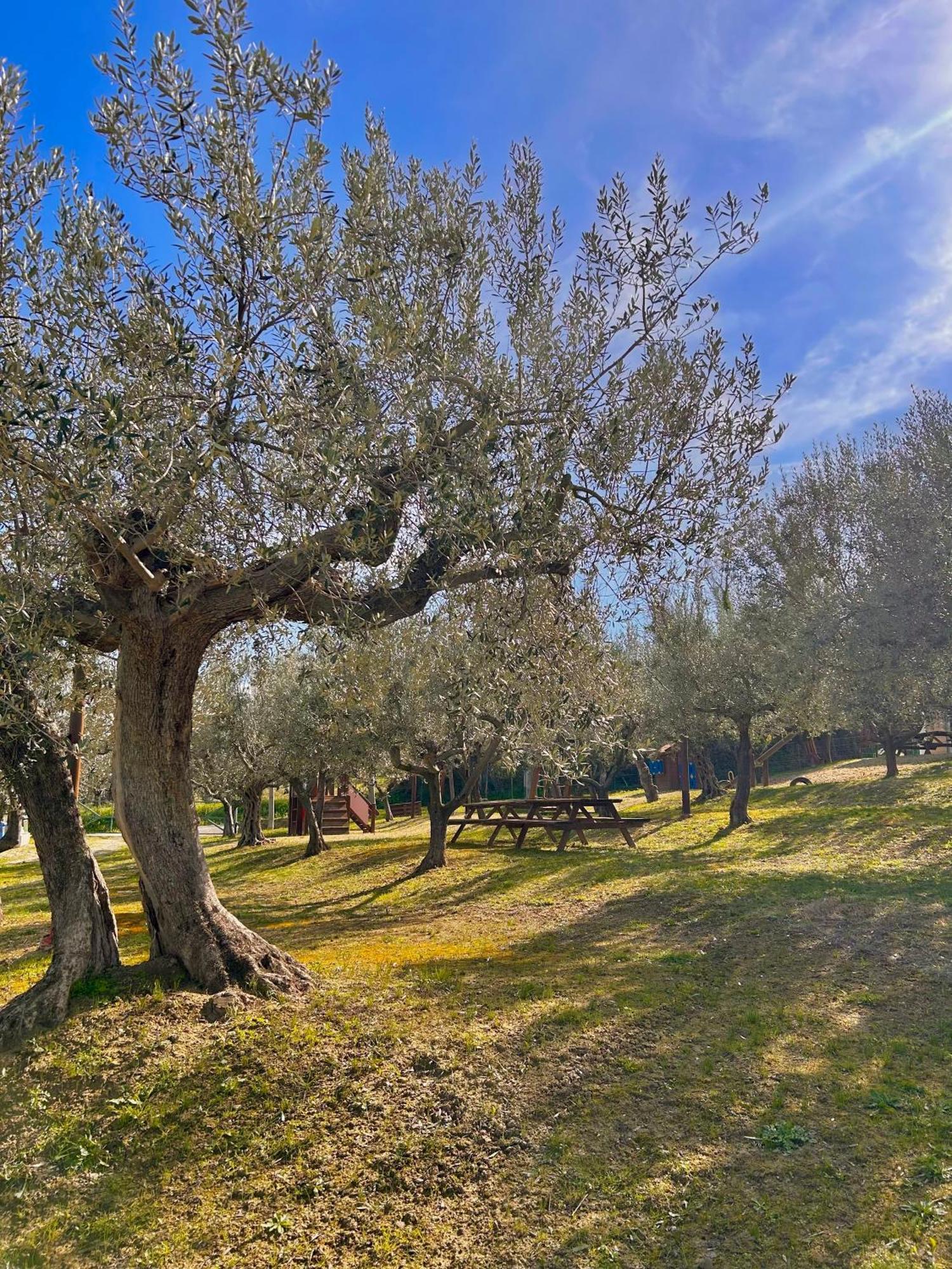 Villa Oasi Macerina Alanno Esterno foto