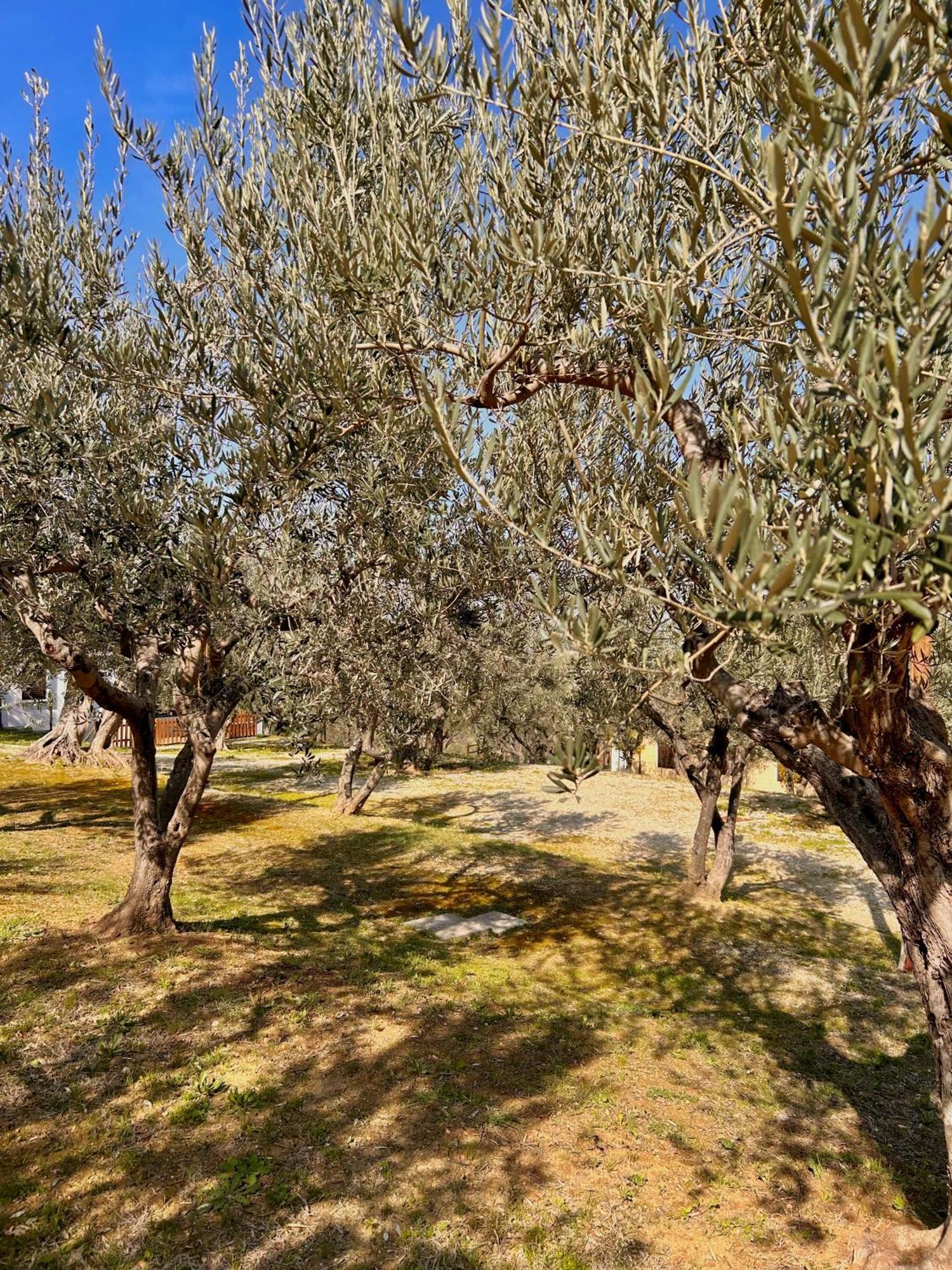 Villa Oasi Macerina Alanno Esterno foto
