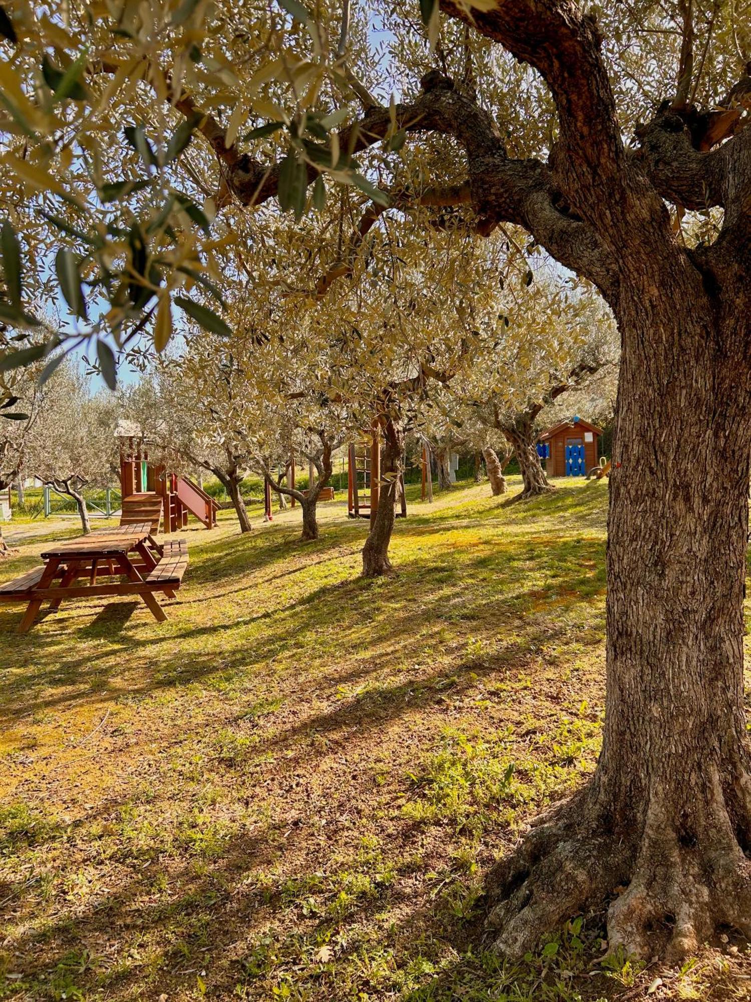 Villa Oasi Macerina Alanno Esterno foto