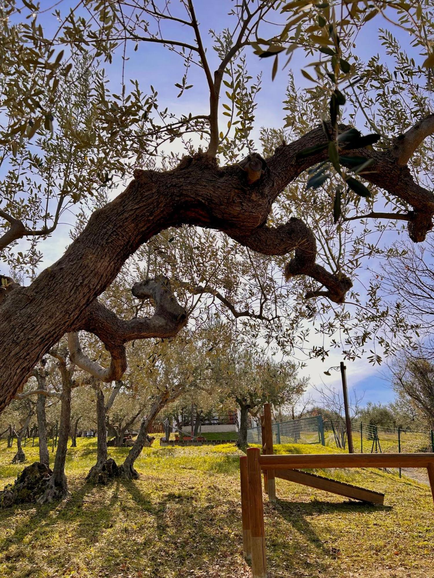 Villa Oasi Macerina Alanno Esterno foto
