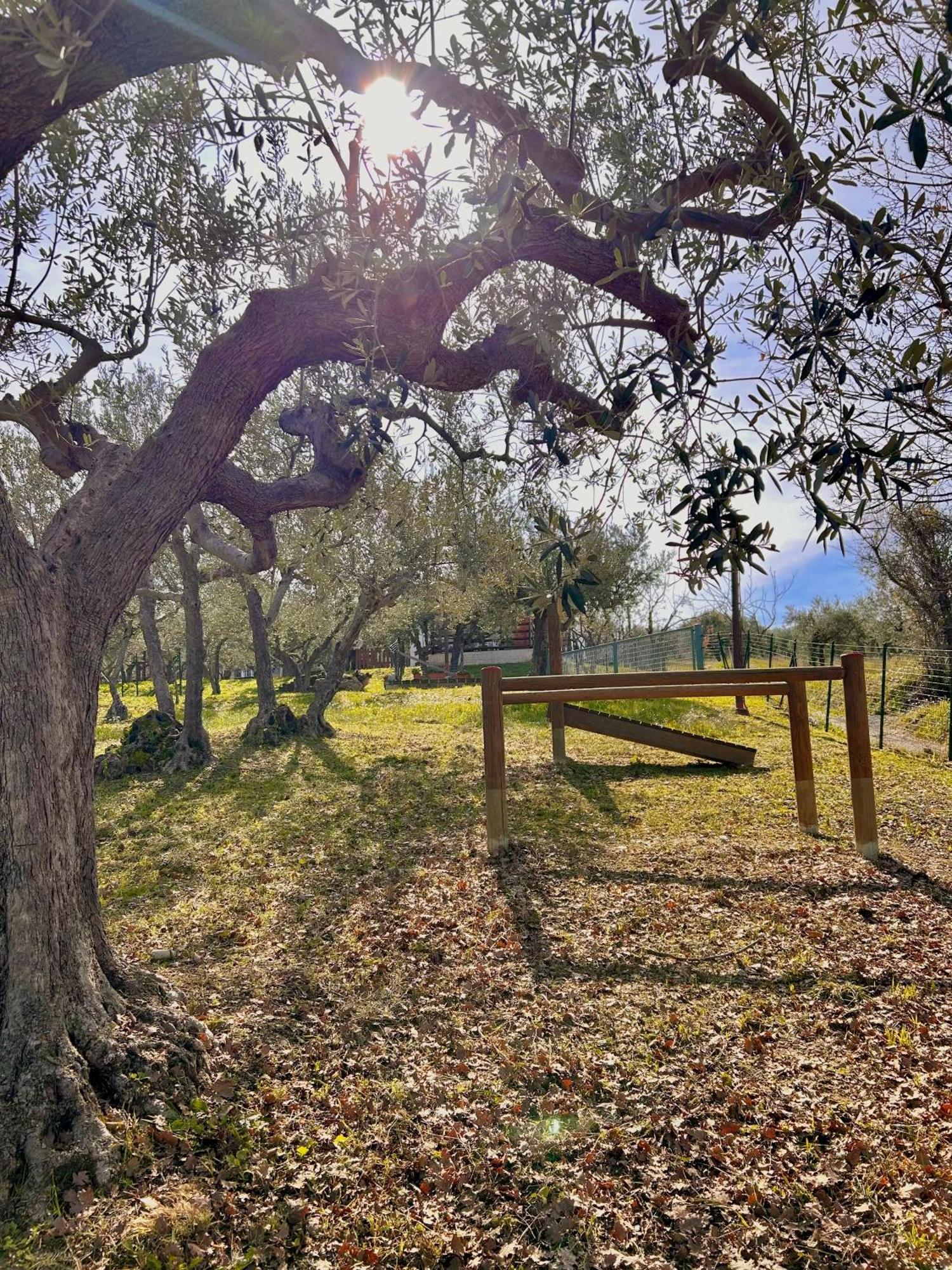 Villa Oasi Macerina Alanno Esterno foto