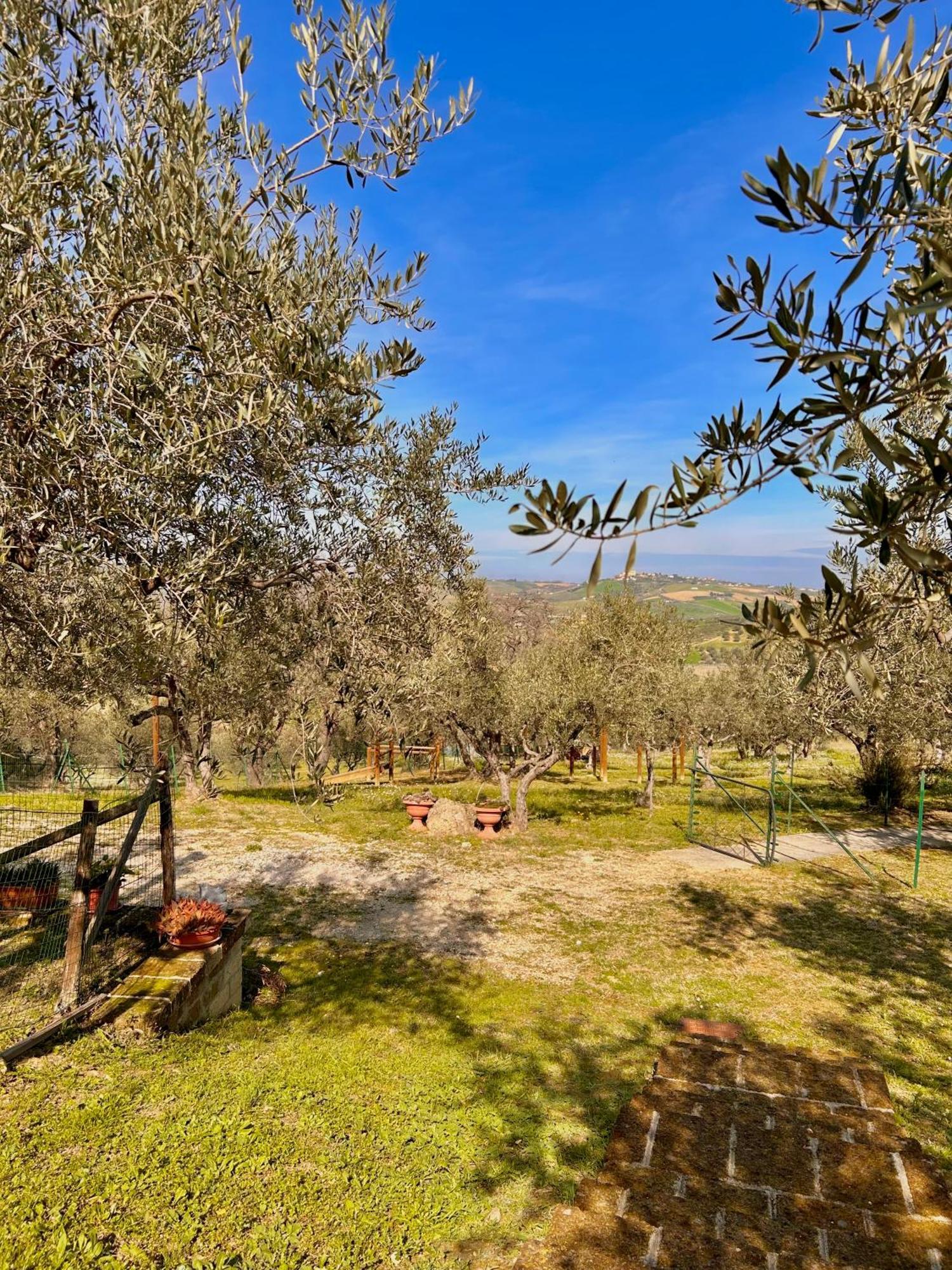 Villa Oasi Macerina Alanno Esterno foto