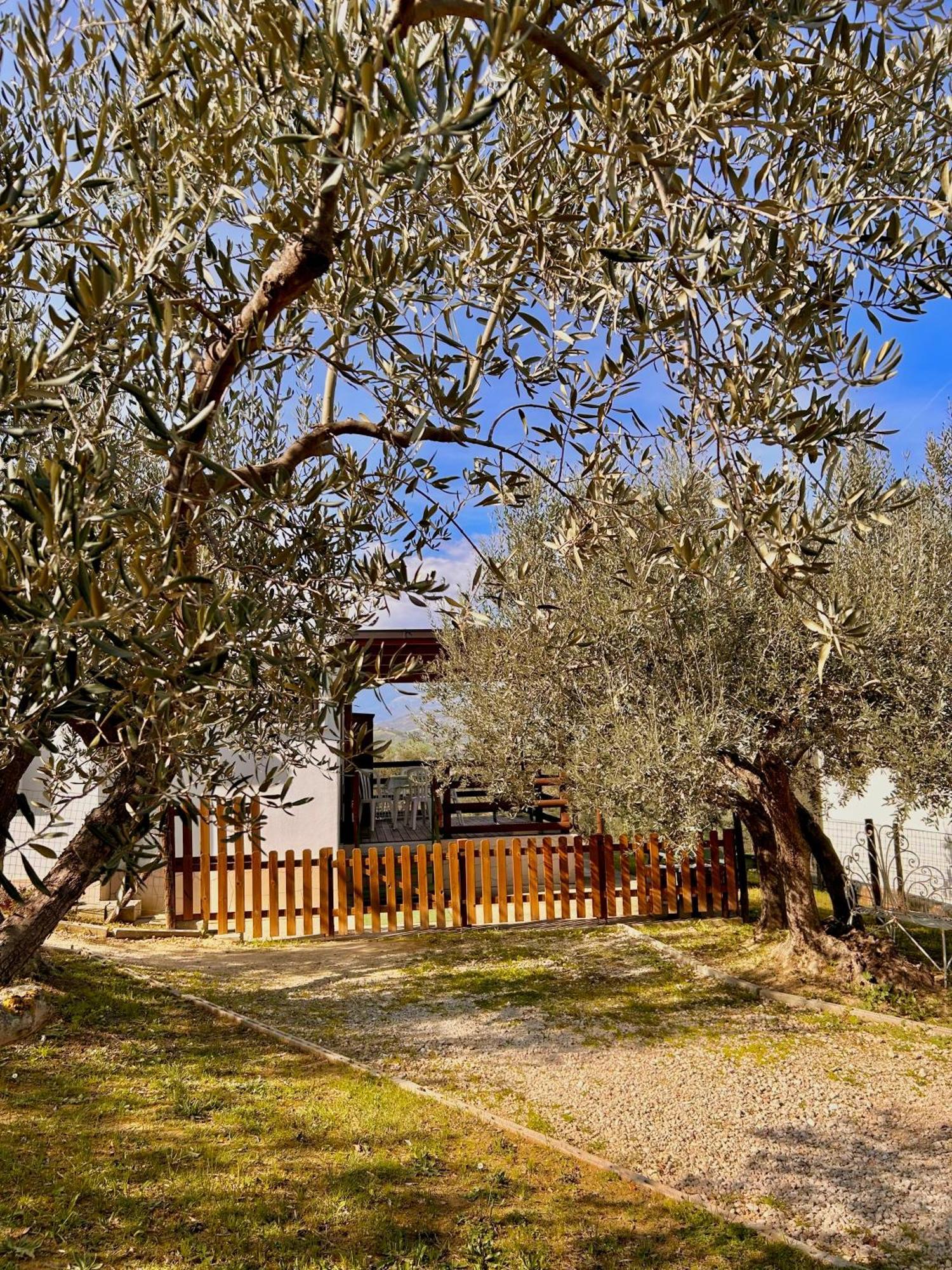 Villa Oasi Macerina Alanno Esterno foto