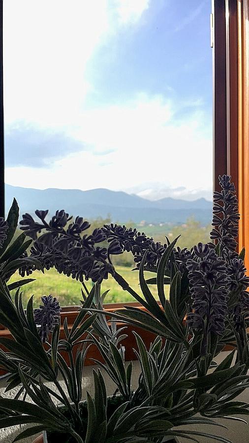 Villa Oasi Macerina Alanno Esterno foto